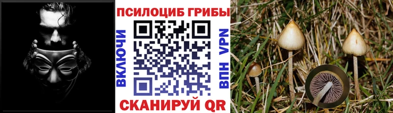 Галлюциногенные грибы MAGIC MUSHROOMS  Купить  Новая Ляля 
